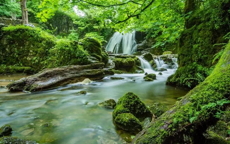 高性能智能先进